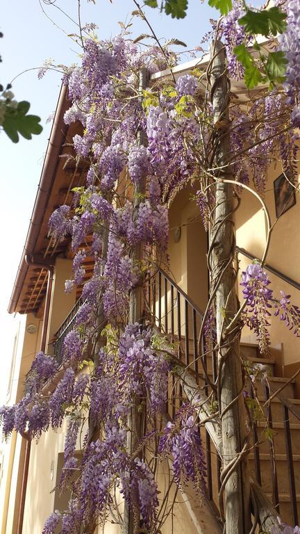 Agriturismo Casal Taccone Apartment Tarquinia Bagian luar foto